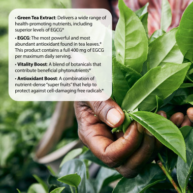 Applied Nutrition Green Tea Fat Burner - B004GW2WQ8