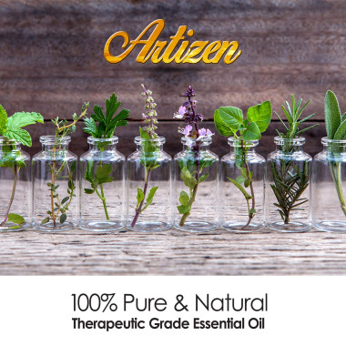 Artizen Cinnamon Essential Oil 100% Pure & Natural - B06Y2GN5FS