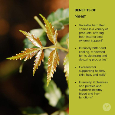 Banyan Botanicals Neem Azadirachta Indica - B00DV00YRK