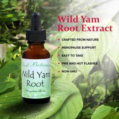 Best Botanicals Wild Yam Root Extract - B00479VWY8