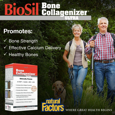 BioSil by Natural Factors Bone Collagenizer Ultra - B00UZ8UZ0C