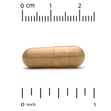 California Gold Nutrition Silymarin Complex Supports Liver Health - B0764LXC1W