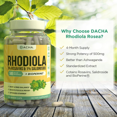 DACHA Rhodiola Focus Mood Brain Booster - B07K1DQTGK