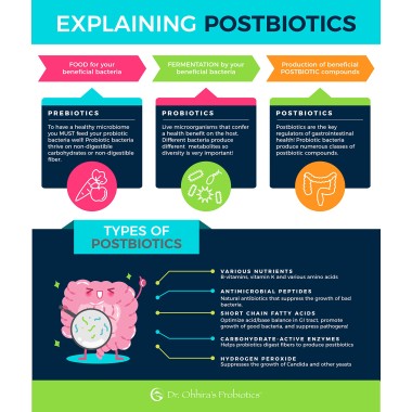 Dr. Ohhira's Probiotics Professional Formula - B0019JRIP6