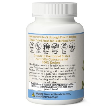 Eclectic Bladder-Wrack FDV - B000I4FAX0