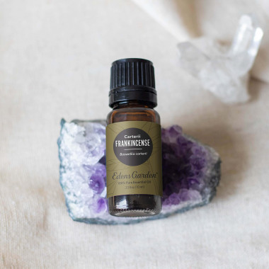 Edens Garden Frankincense Carterii Essential Oil 100% Pure - B002RTXEW8