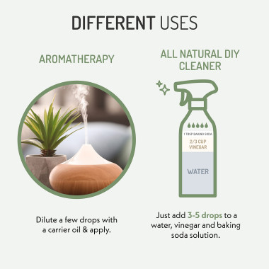 Eve Hansen USDA Certified Organic Eucalyptus Essential Oil - B00U63AWR2