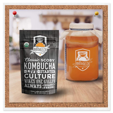 Fermentaholics Clasic Scoby Kombucha - B01N7S1CV5