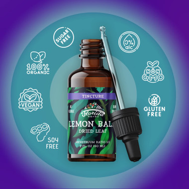 Florida Herbs Tincture Organic Lemon Balm - B07FFGRVZ4