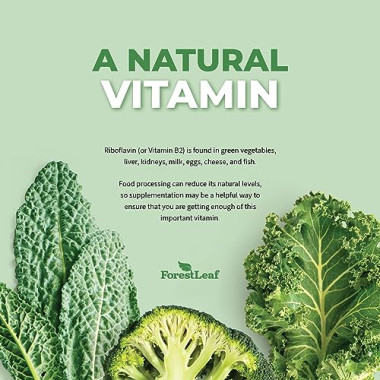 Forest Leaf Vitamin B2 Riboflavin Promotes Healthy Nervous System - B07NF6B6Y1