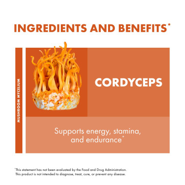 Fungi Perfecti Cordyceps Mushroom Mycelium Powder Energy Support - B07PJZ58BG
