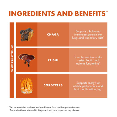 Fungi Perfecti Mushrooms Breathe Healthy Respiratory Support - B00PKXRSWK