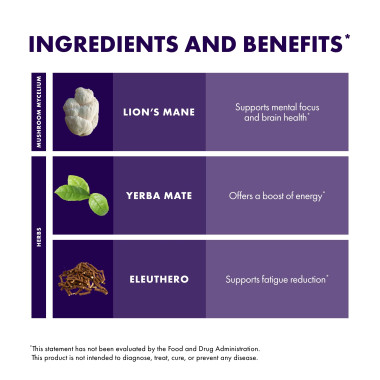 Fungi Perfecti Myco Botanicals Brain Energy - B07PMFLHZ9
