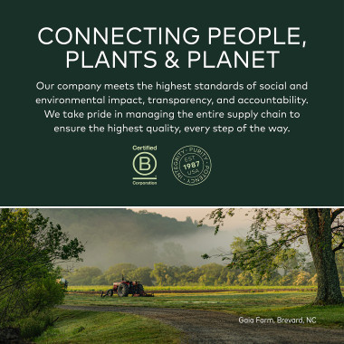 Gaia Herbs St. John's Wort Stress Support - B00F1J7UXU