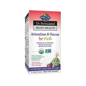 Garden of Life Dr. Formulated Brain Health Attention & Focus for Kids Yummy Chewables - B076ZJX46Y