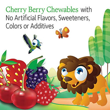 Garden of Life Vitamin Code Kids Chewable Whole Food Multivitamin for Kids Chewable Bears - B003TTZWZ2