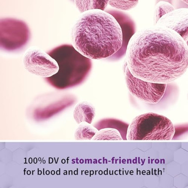 Garden of Life Vitamin Code Raw Prenatal - B005JAT3TU