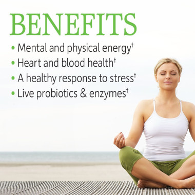 Garden Of Life Vitamin Code Vitamin B Complex - B0098U0SQO