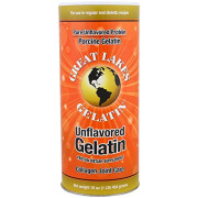 Great Lakes Gelatin Co Porcine Gelatin Collagen Joint Care - B07GVGD59C