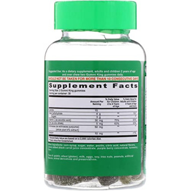 GummiKing Echinacea Plus Vitamin C and Zinc - B00415QVC6