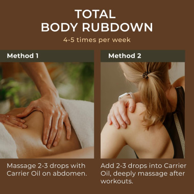 Gya Labs Ginger Oil - B075R31LWW