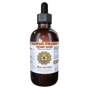 HawaiiPharm Liquid Extract Cramp Bark - B00KLGVZW0