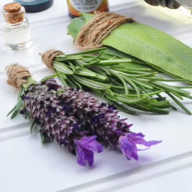 Healing Solutions Rosemary Essential Oil - B00PM2T3N6