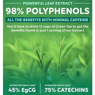 Healths Harmony EGCG Natural Diet Pills - B01KV9DOPW