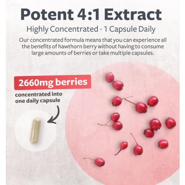 Healths Harmony Hawthorn Supports Healthy Blood Pressure - B07RJXGRHY