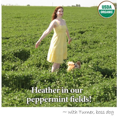 Heather's Tummy Care Peppermint Oil - B0002UDK4Q