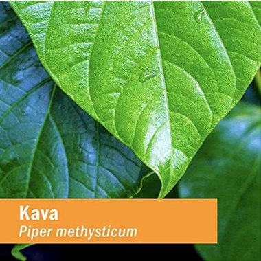 Herb Pharm Kava Nervous System Calming & Stabilizing - B00WTYSDW2