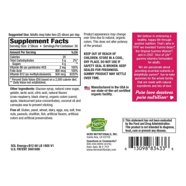 Hero Nutritional Products Slice of Life Adult Gummy Vitamins Energy + B12 - B001AZSUYW
