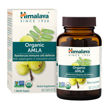 Himalaya Organic Amla Natural Immune Support - B0011Y43YS