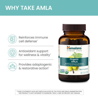 Himalaya Organic Amla Natural Immune Support - B0011Y43YS