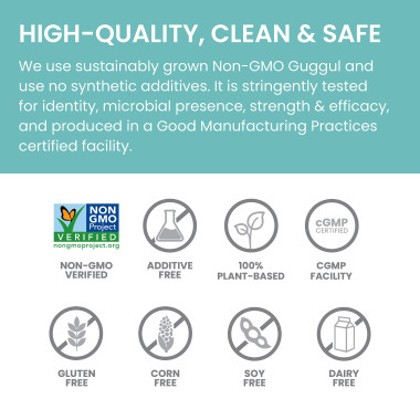 Himalaya Guggul - B00B8Z296O