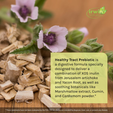 Irwin Naturals Healthy Track Prebiotic - B01IBMOGEE