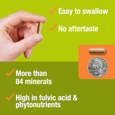 Jiva Botanicals Amla Immune Support - B07K8NFHWN