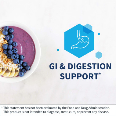 Klaire Labs Mastic Gum/DGL - B0083UWMOQ