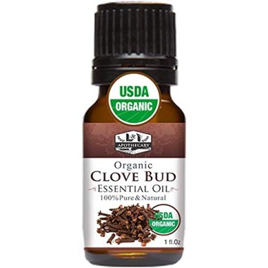 L&I Apothecary Clove Oil 100% Pure & Natural - B07BDRSDGW