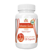 Logic Nutra Mastic Gum - B07C5SXJGJ