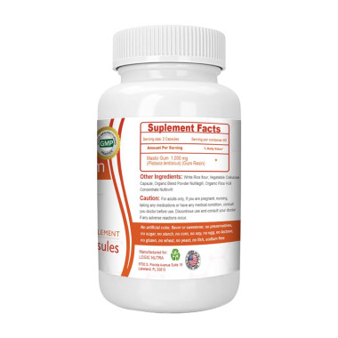 Logic Nutra Mastic Gum - B07C5SXJGJ