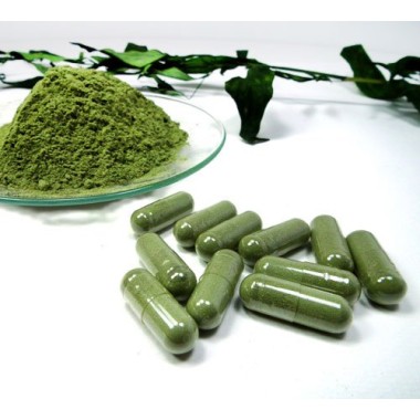 Majestic Herbs Jiaogulan (Gynostemma) Herb of Immortality - B06XCXLSBG