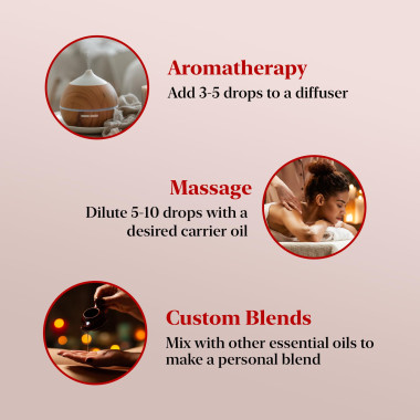 Majestic Pure 100% Natural & Pure Cold Pressed Rosehip - B00QR7FTLU