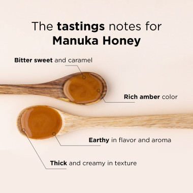 Manuka Doctor Multifloral Manuka Honey 15+ Bio Active with Ginger - B00AAVK3CO