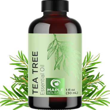 Maple Holistics 100% Pure Tea Tree Oil Natural Essential Oil - B018J6KIBW