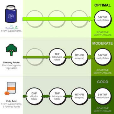 MethylPure L-Methylfolate Vitamin B9/Folate - B07JH8K7CQ