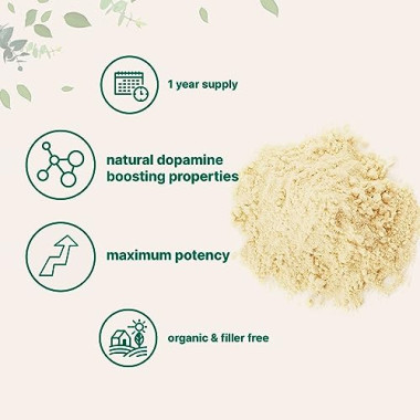 Micro Ingredients Maximum Strength Organic Mucuna - B01BHF3J4K
