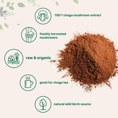 Micro Ingredients Organic Chaga Mushroom Powder - B07CY1LGVZ