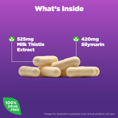 Natrol Milk Thistle - B0025Q576Y
