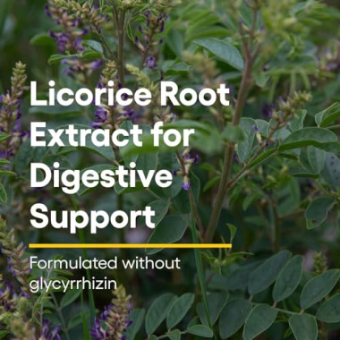Natural Factors DGL Deglycyrrhizinated Licorice Root Extract - B0001KFGWQ